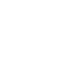 Einstein Rising  : Einstein Rising 